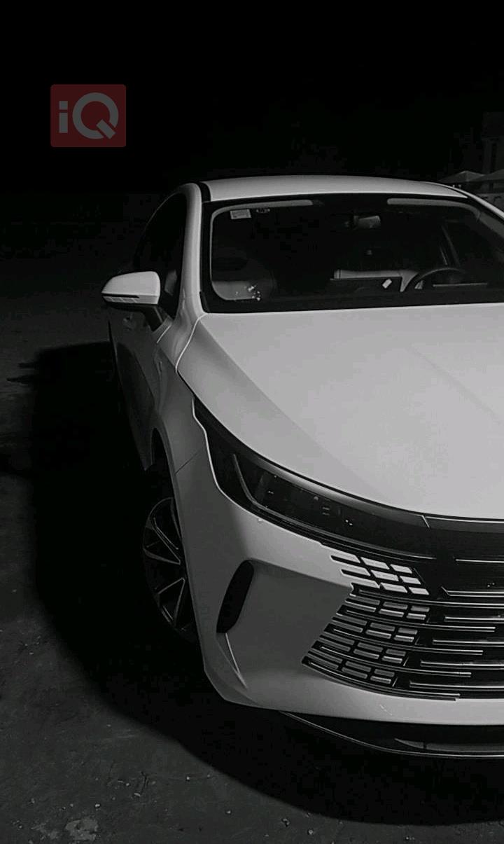 بی وای دی دیسترۆیەر 05